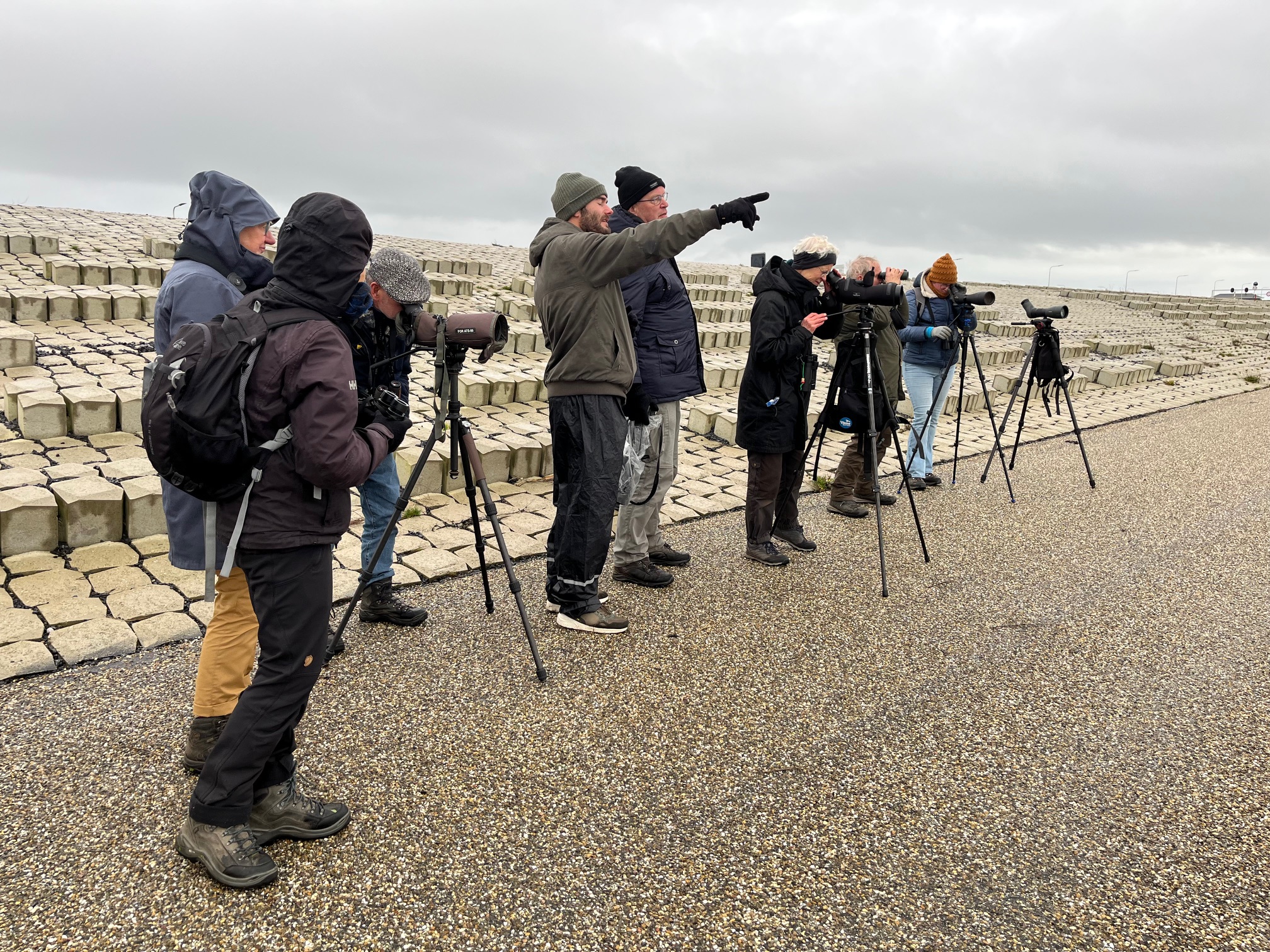 Excursie vogelwerkgroep – Kornwerderzand / Afsluitdijk