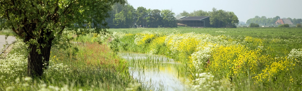Martijn van der Heide – Natuurinclusieve plattelandsontwikkeling, niet scheiden maar verweven.